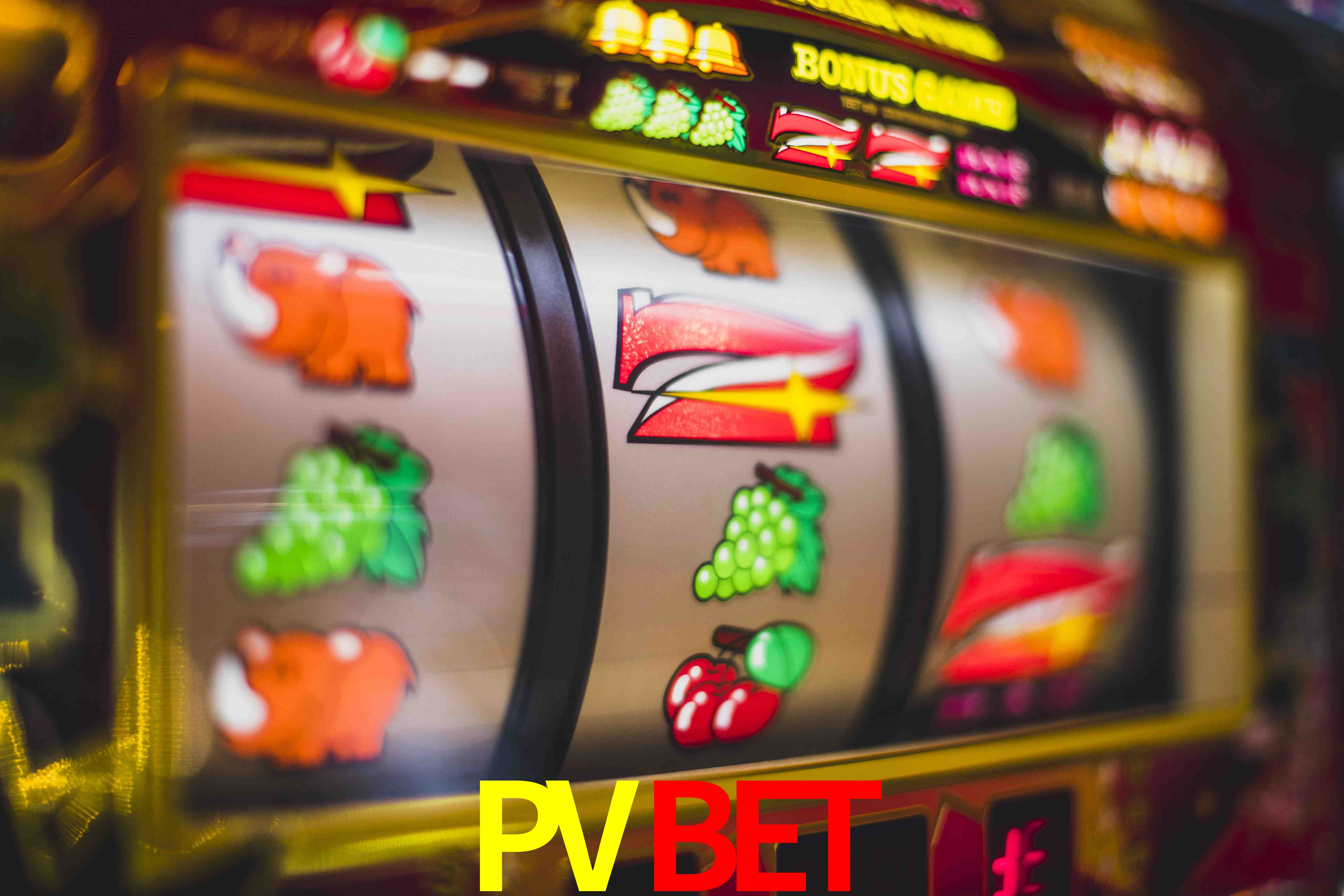 Tennis Betting PVBET